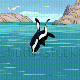 an orca whale is jumping out of the sea